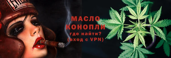 гидра Покачи