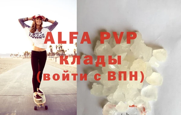 гидра Покачи
