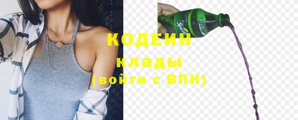 гидра Покачи