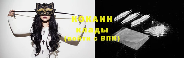 гидра Покачи