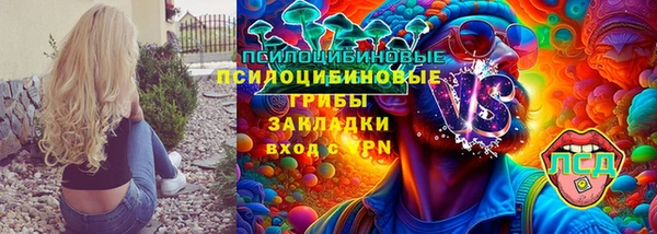 гидра Покачи