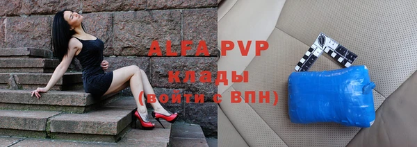 гидра Покачи