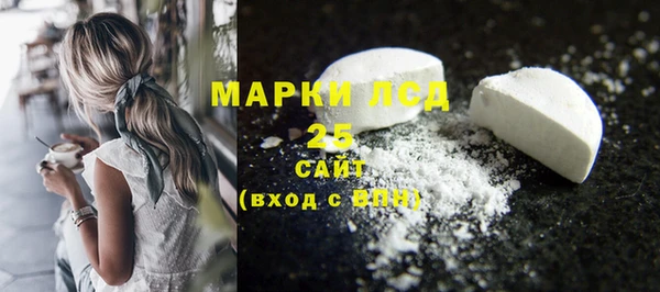 гидра Покачи