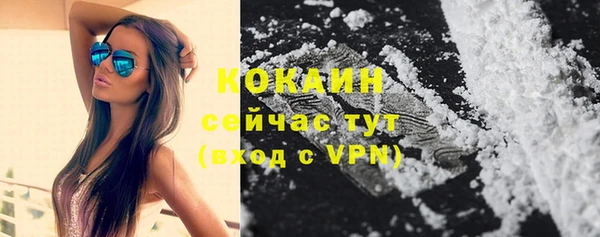 гидра Покачи