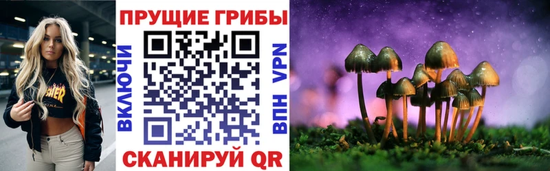 Галлюциногенные грибы Magic Shrooms  наркошоп  Армянск 